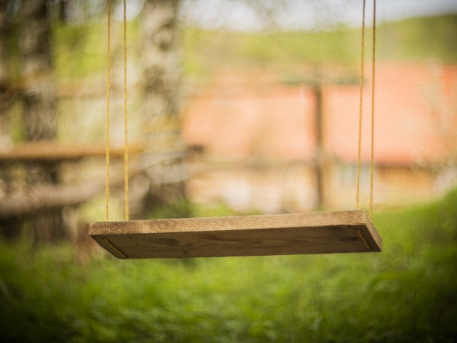 Święty Gaj i jego niezwykła energia - zdjęcie poglądowe