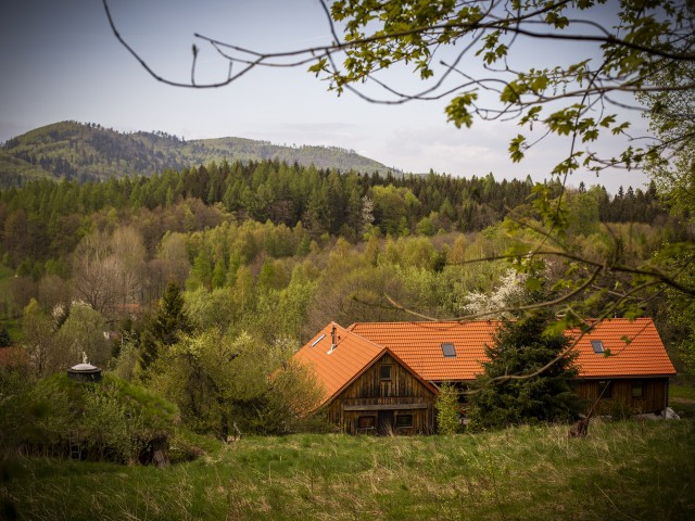 Współtworzenie i współistnienie - zdjęcie poglądowe